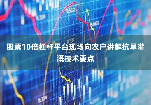 股票10倍杠杆平台现场向农户讲解抗旱灌溉技术要点