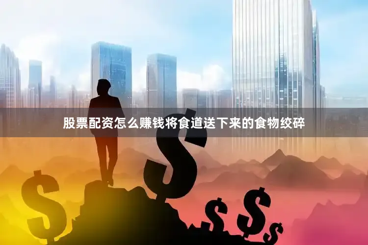 股票配资怎么赚钱将食道送下来的食物绞碎
