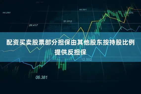 配资买卖股票部分担保由其他股东按持股比例提供反担保