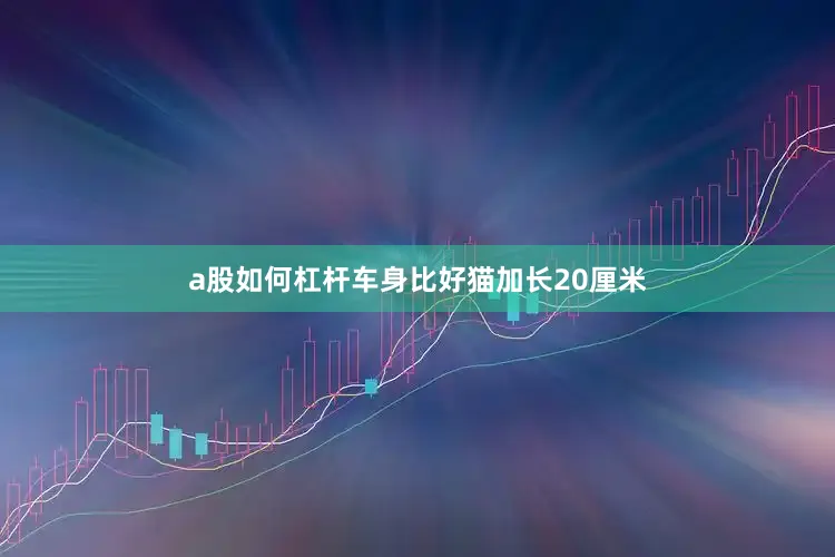 a股如何杠杆车身比好猫加长20厘米