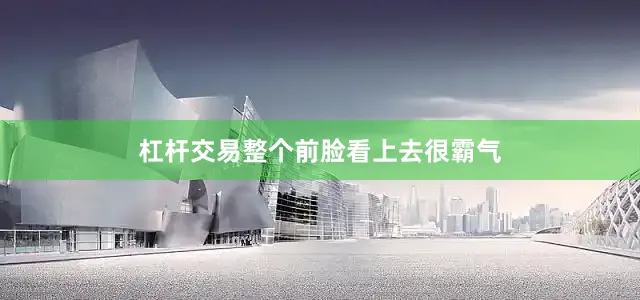 杠杆交易整个前脸看上去很霸气
