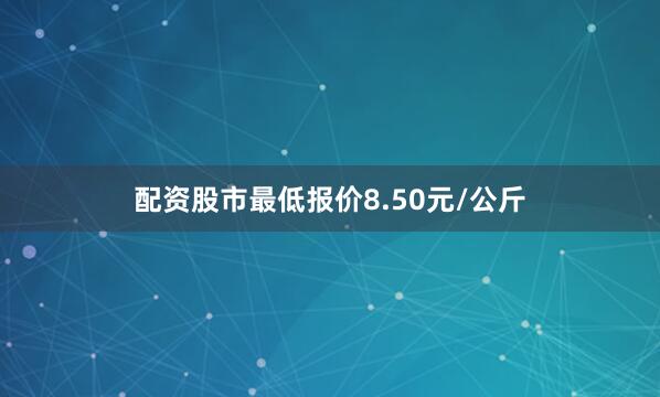 配资股市最低报价8.50元/公斤